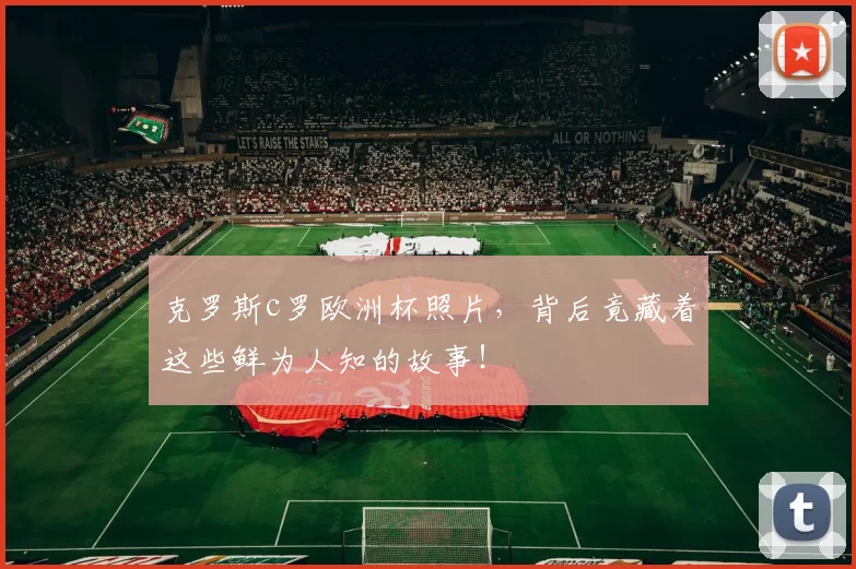 克罗斯c罗欧洲杯照片,背后竟藏着这些鲜为人知的故事!