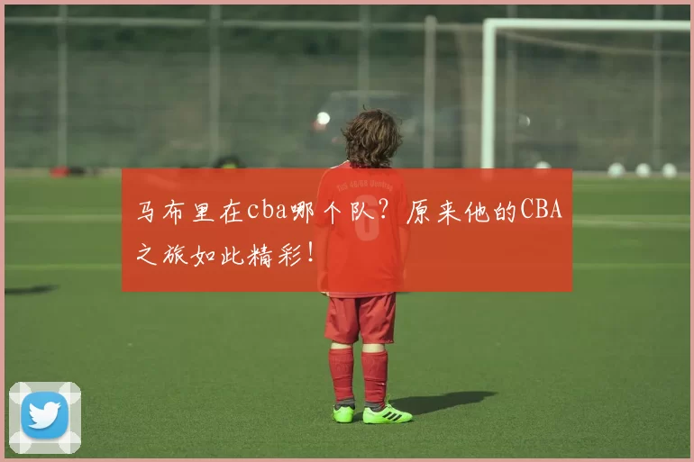 马布里在cba哪个队？原来他的CBA之旅如此精彩！