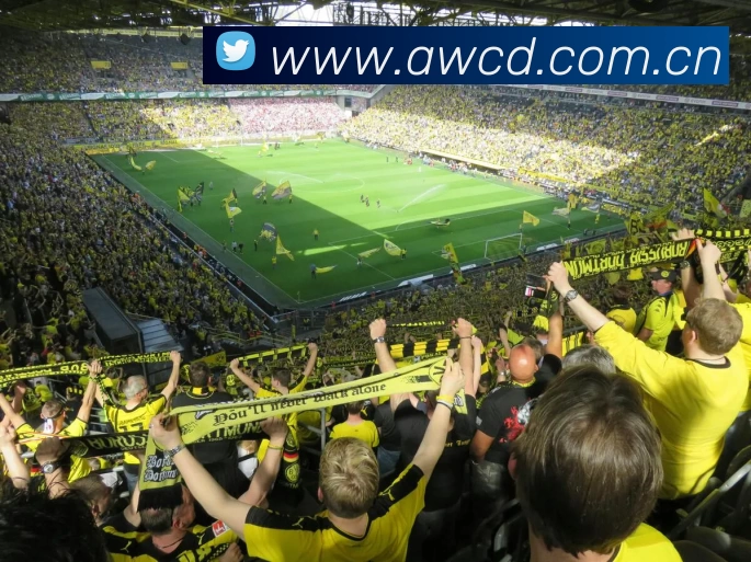 多媒体互动体验