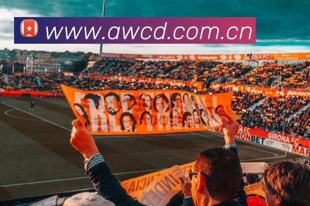 多媒体互动体验