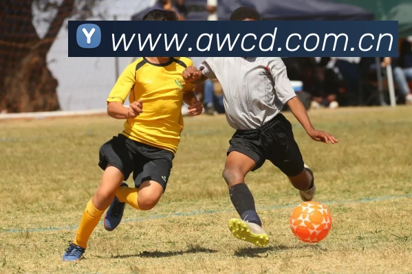 开云·kaiyun体育(中国大陆)官方网站 登录入口APP 高清赛事图