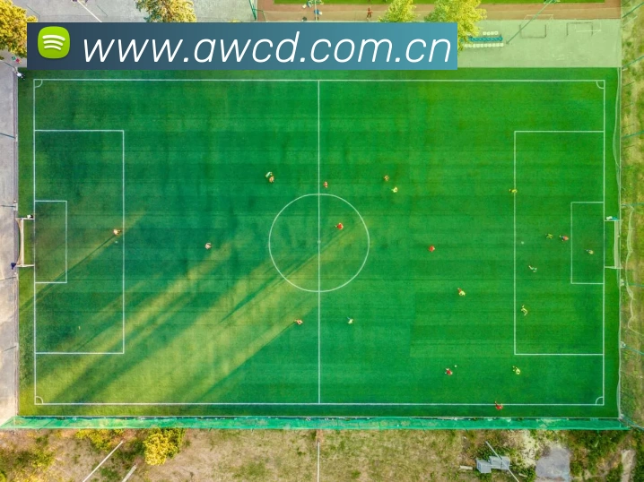 数据防护可视化